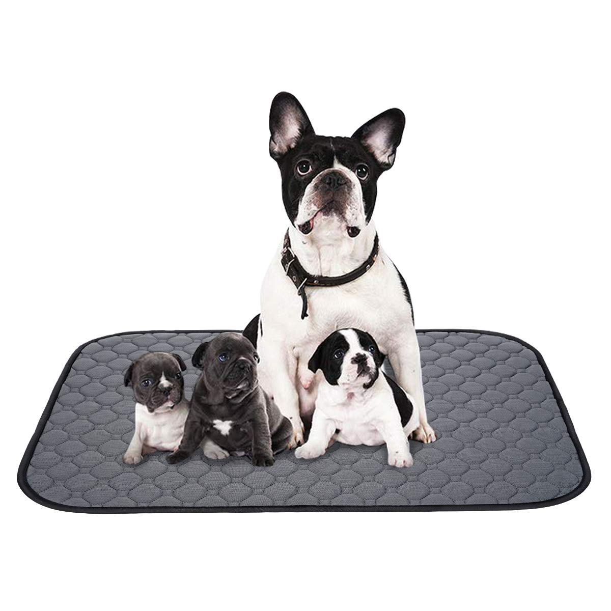 ペットシーツ 洗える 猫 犬用 おしっこパッド ペット用 トイレ下敷きマット 速乾 洗える 大判サイズ 多頭飼いに最適(グレー XL 二枚セット)